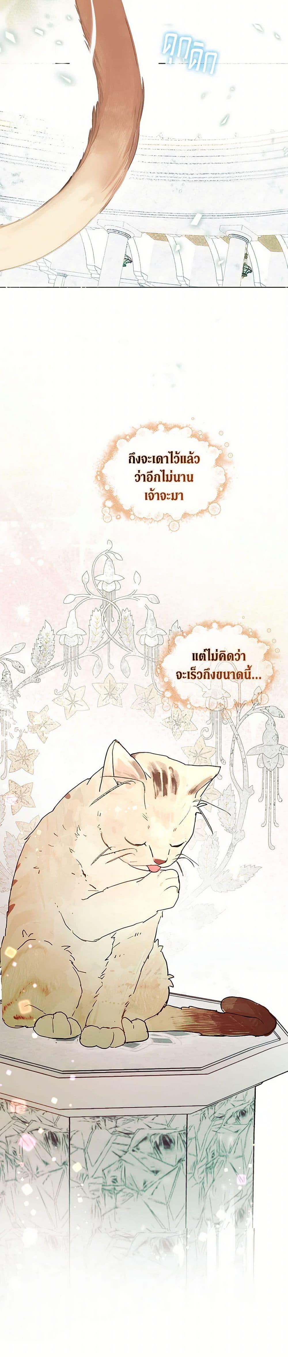 Manga-lc-com อ่านมังงะ อ่านการ์ตูน ออนไลน์ ฟรี Devoted to Diamond ตอนที่ 1 2 3 4 5 6 7 8 9 10 11 12 13 14 ฟรี ไม่มีโฆษณา Manga-lc - อ่าน มังงะ อ่าน การ์ตูน ออนไลน์ อ่านมังงะ ฟรี