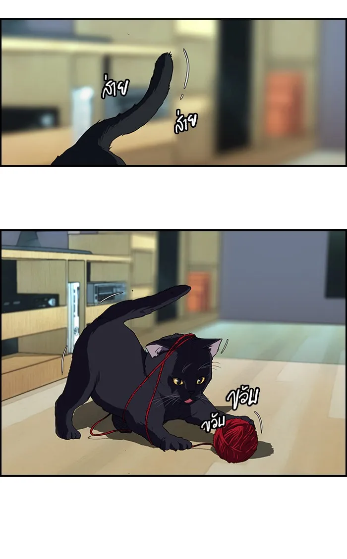 ปั่นสู้ฝันbrWind Breaker ตอนที่ 11 รูปที่ 38