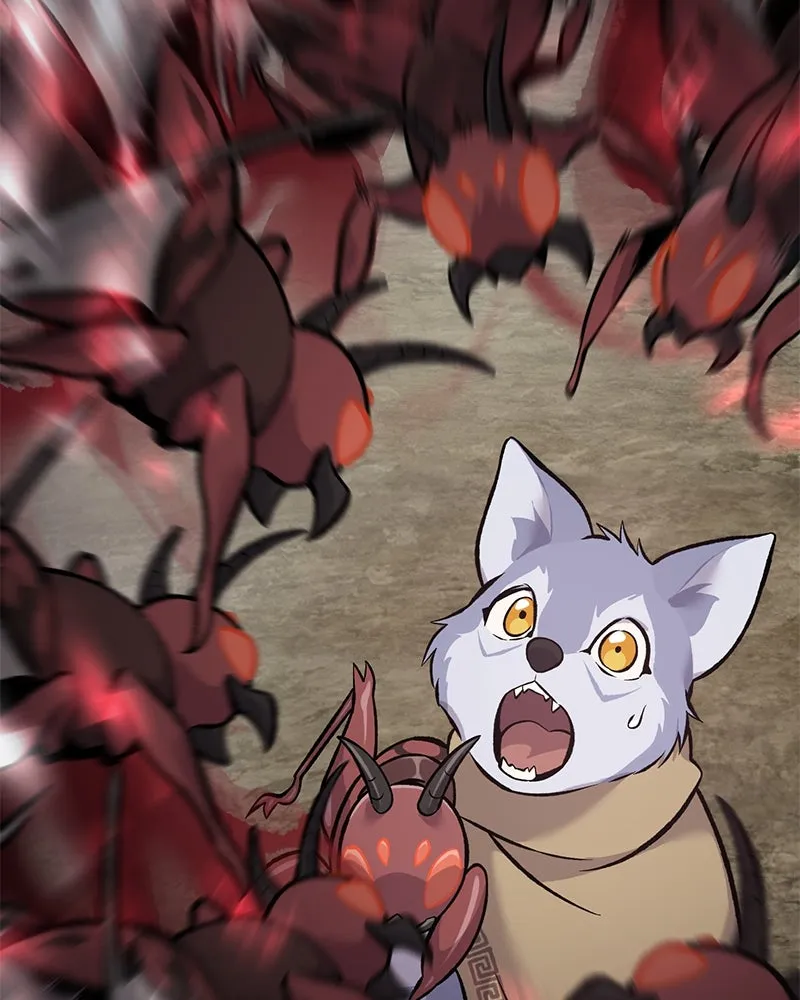 ปลูกผักพิชิตหอคอย ตอนที่ 80 รูปที่ 215