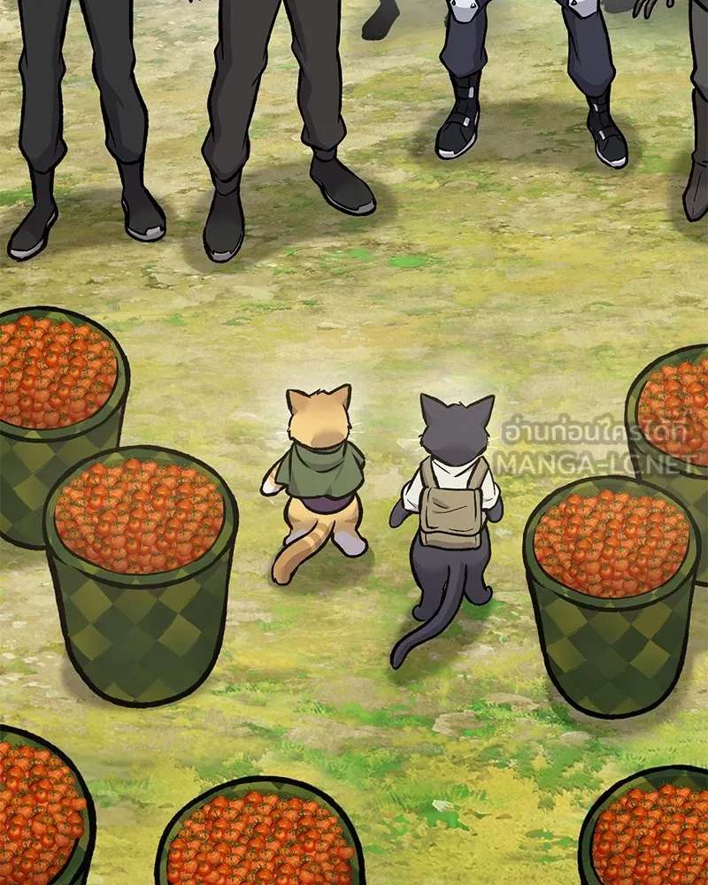 ปลูกผักพิชิตหอคอย ตอนที่ 95 รูปที่ 63