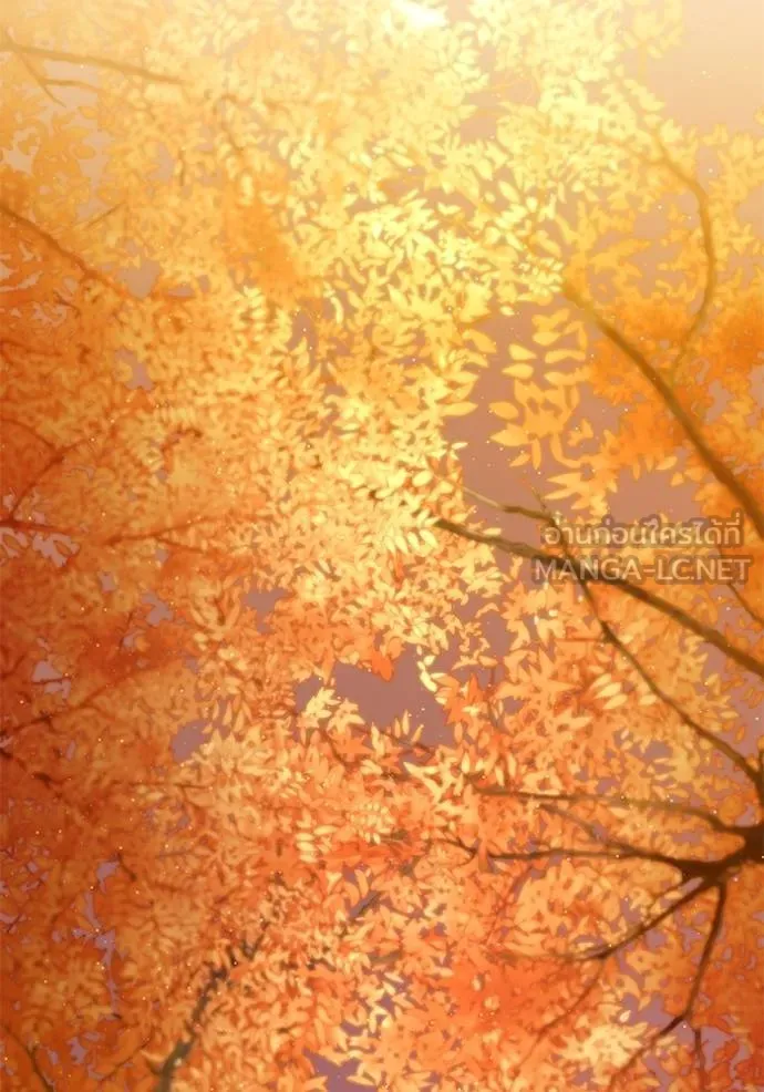 การแต่งงานครั้งใหม่ ตอนที่ 215 รูปที่ 136