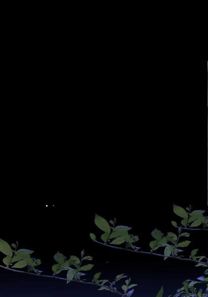 2nd Love หนุ่มเฮ้วสาวbrเปรี้ยวรักเดียวโด ตอนที่ 23 รูปที่ 19