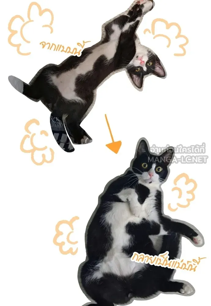 เอาชีวิตรอดในเกมฉบับคนเถื่อน ตอนที่ รีวิว รูปที่ 33