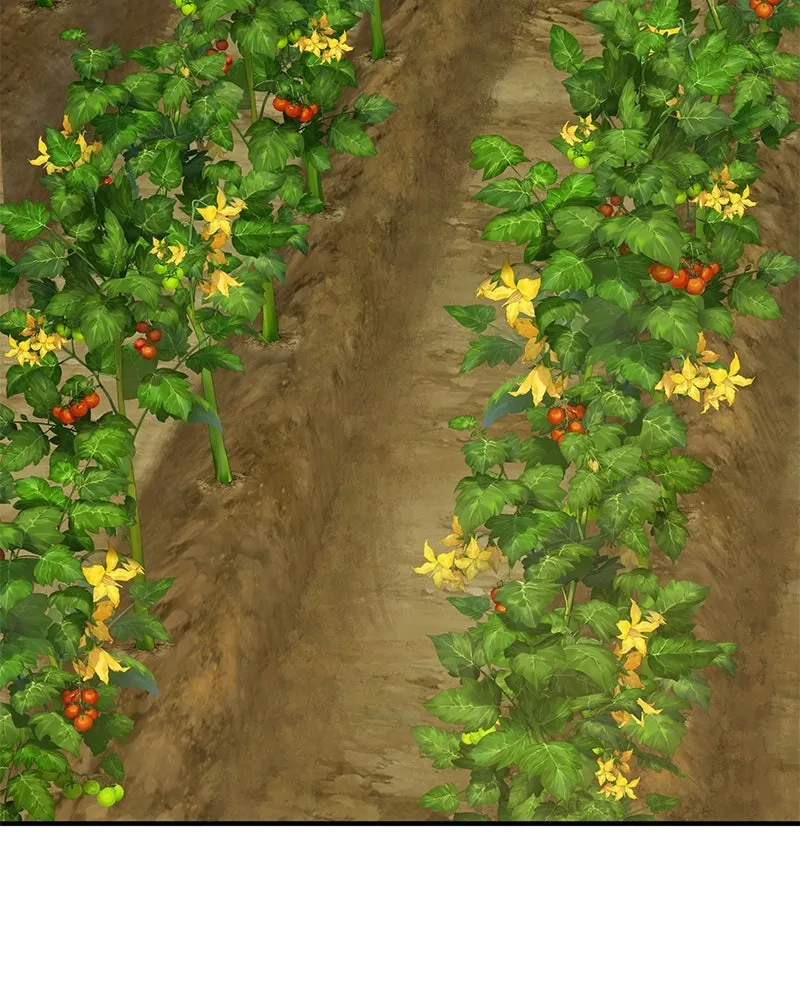 ปลูกผักพิชิตหอคอย ตอนที่ 71 รูปที่ 175