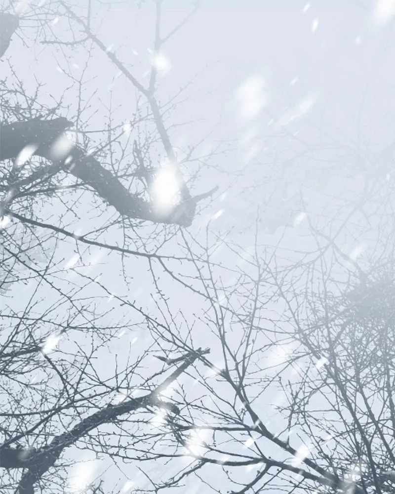 กำราบรักร้ายนายจอมพยศ ตอนที่ 56 รูปที่ 167