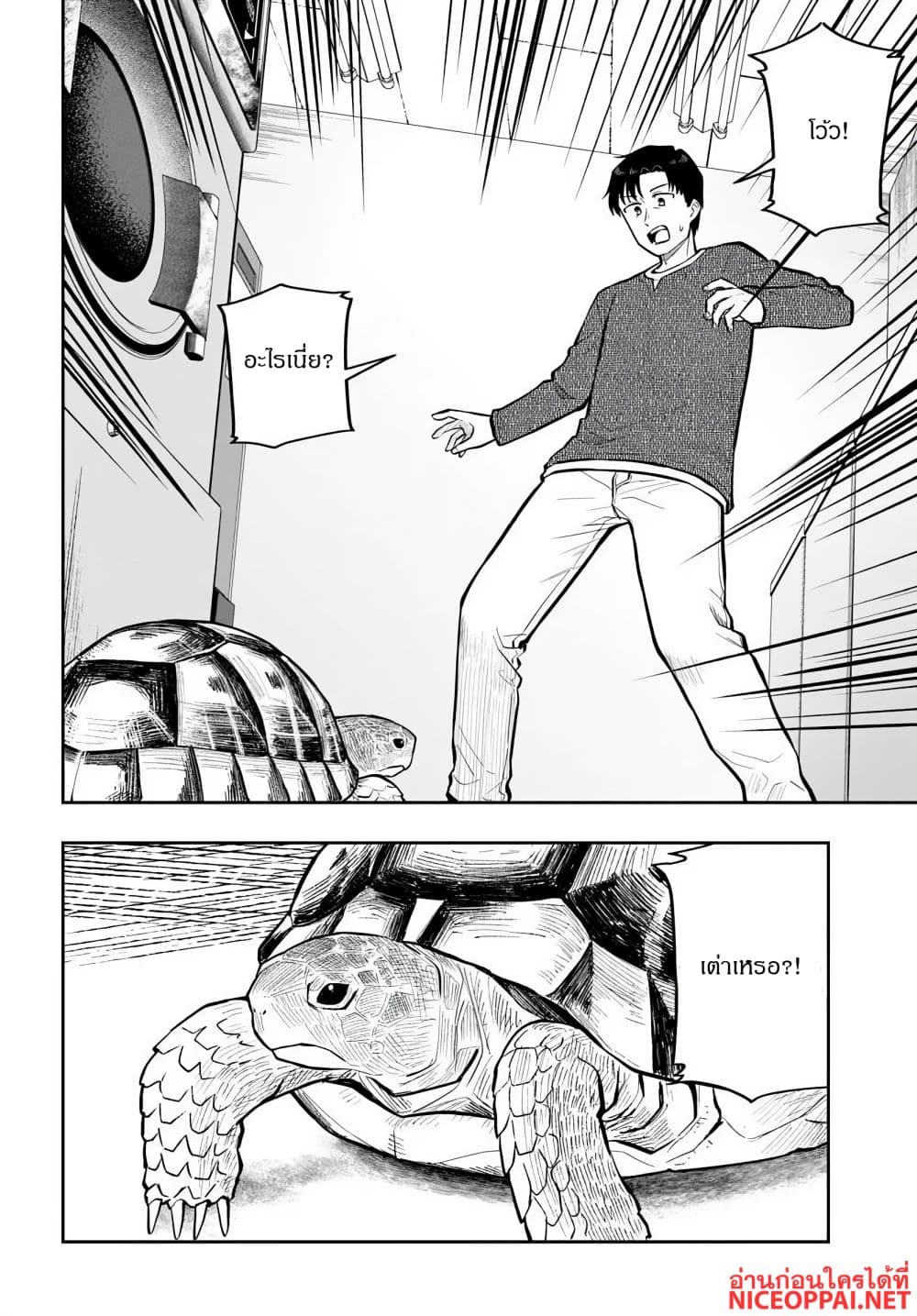 Manga-lc-com อ่านมังงะ อ่านการ์ตูน ออนไลน์ ฟรี Kon’ya Coin Laundry de Aimashou ตอนที่ 1 2 3 4 5 6 7 8 9 10 11 12 13 14 ฟรี ไม่มีโฆษณา Manga-lc - อ่าน มังงะ อ่าน การ์ตูน ออนไลน์ อ่านมังงะ ฟรี