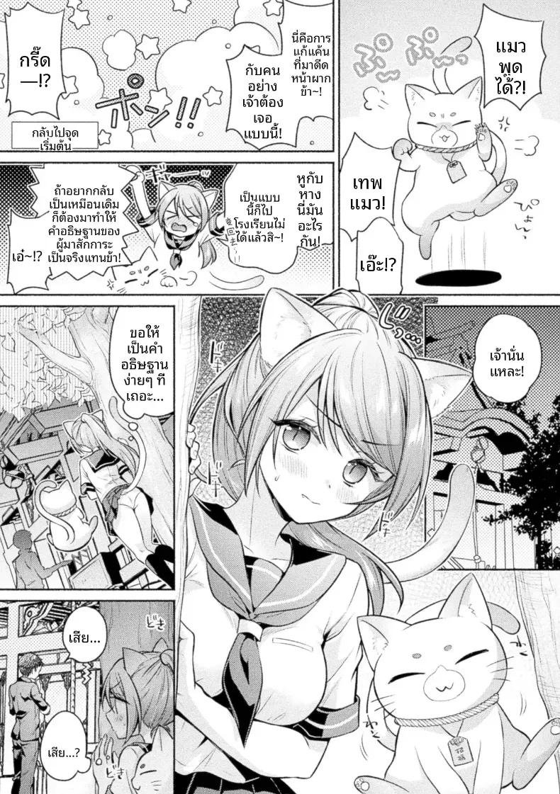 Doujin-Lc- อ่าน โดจิน มังฮวา เกาหลี ญี่ปุ่น จีน แปลไทย ดังที่เทพเจ้าแมวกล่าวไว้ [Yuumi] ตอนที่ 1 2 3 4 5 6 7 8 9 10 11 12 13 14 ฟรี ไม่มีโฆษณา อ่าน โดจิน Manhwa เกาหลี ญี่ปุ่น จีน เรามีครบ คัดมาให้เน้นๆ โดจิน 18+ รับประกันความฟินโดย  Doujin Lc