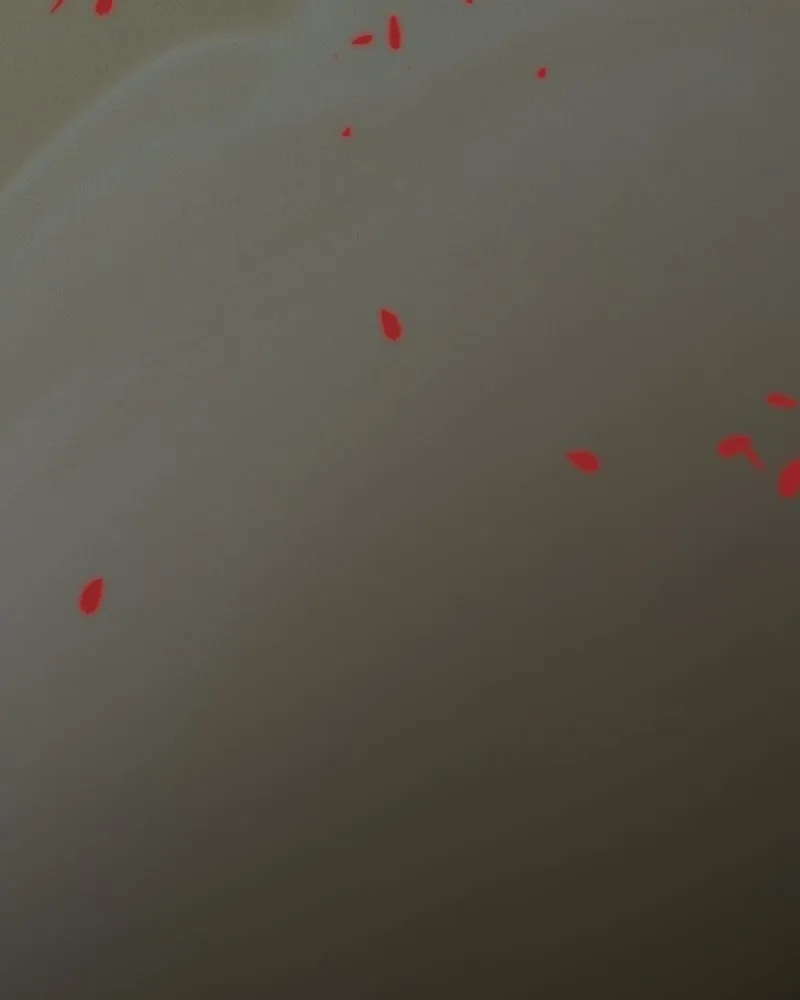 เซเรน่า ตอนที่ 13 รูปที่ 35