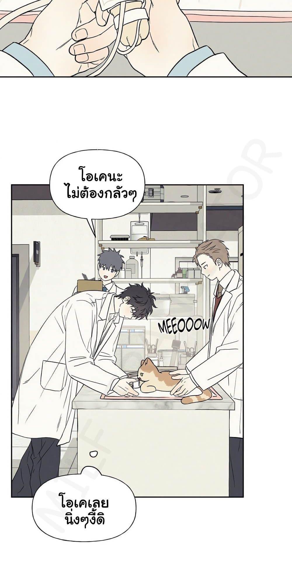 Doujin-Lc- อ่าน โดจิน มังฮวา เกาหลี ญี่ปุ่น จีน แปลไทย 3xLover ตอนที่ 1 2 3 4 5 6 7 8 9 10 11 12 13 14 ฟรี ไม่มีโฆษณา อ่าน โดจิน Manhwa เกาหลี ญี่ปุ่น จีน เรามีครบ คัดมาให้เน้นๆ โดจิน 18+ รับประกันความฟินโดย  Doujin Lc