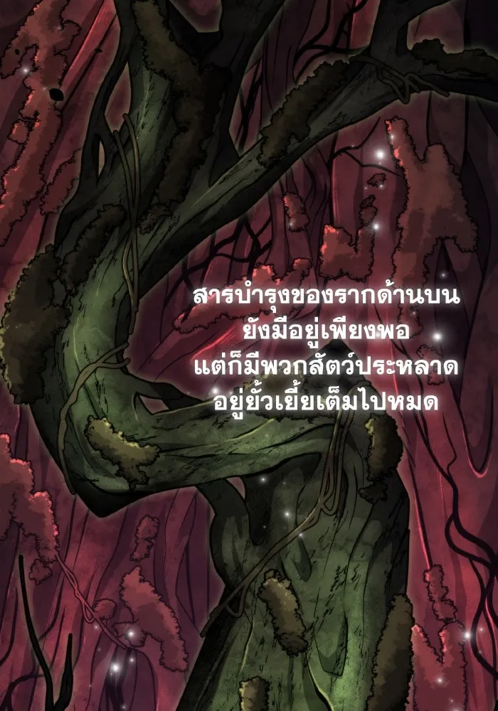 การแข่งขันของผู้เกิดใหม่ ตอนที่ 54 รูปที่ 25