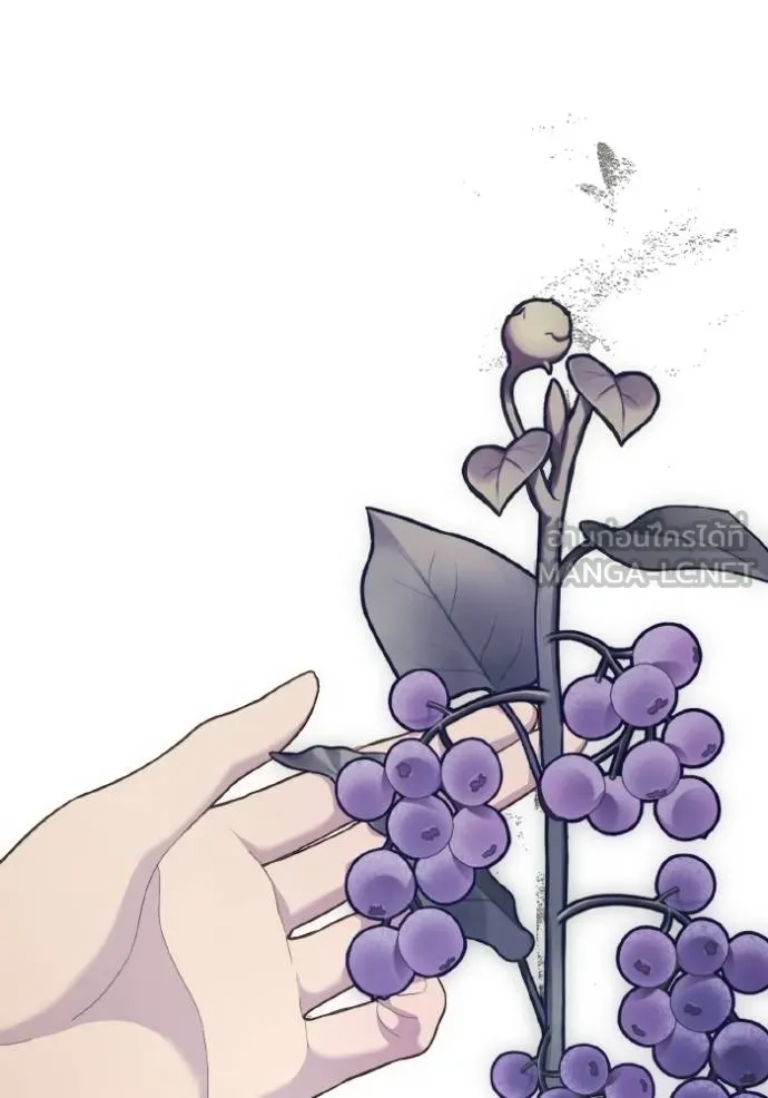 ราชินีจอมมาร ตอนที่ 14 รูปที่ 61