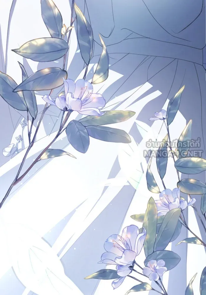 ชิงชีวิตพลิกลิขิตชะตา ตอนที่ 161. คำสารภาพที่ไม่ได้เรื่องที่สุ รูปที่ 3