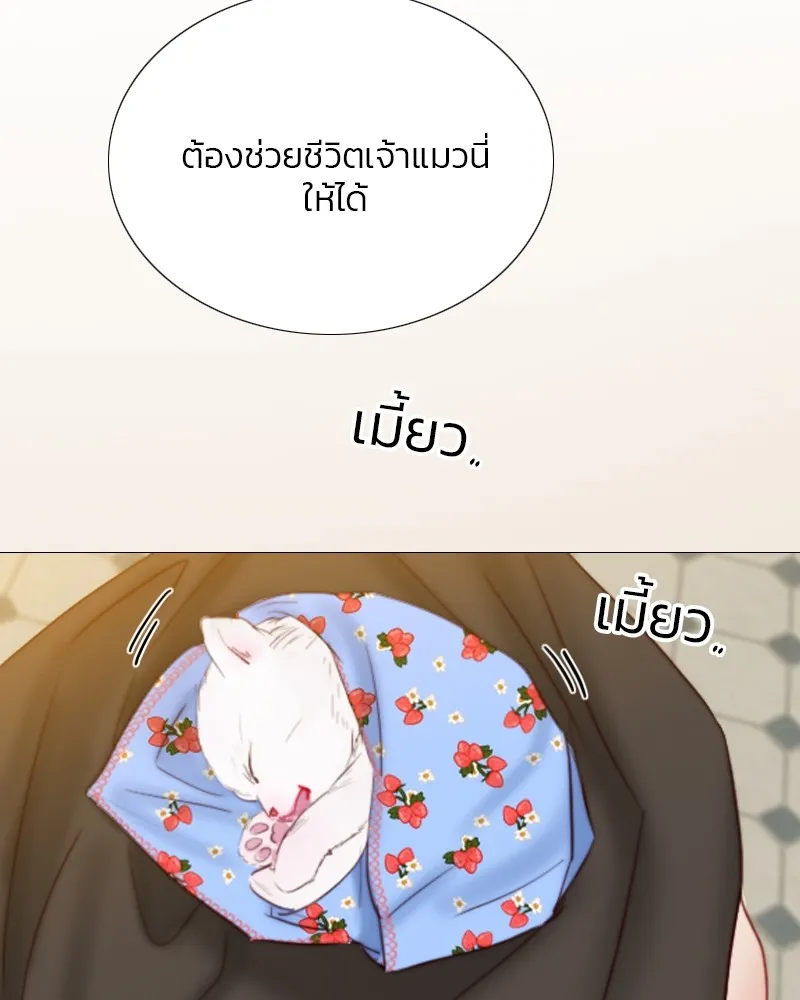 เซเรน่า ตอนที่ 41 รูปที่ 23