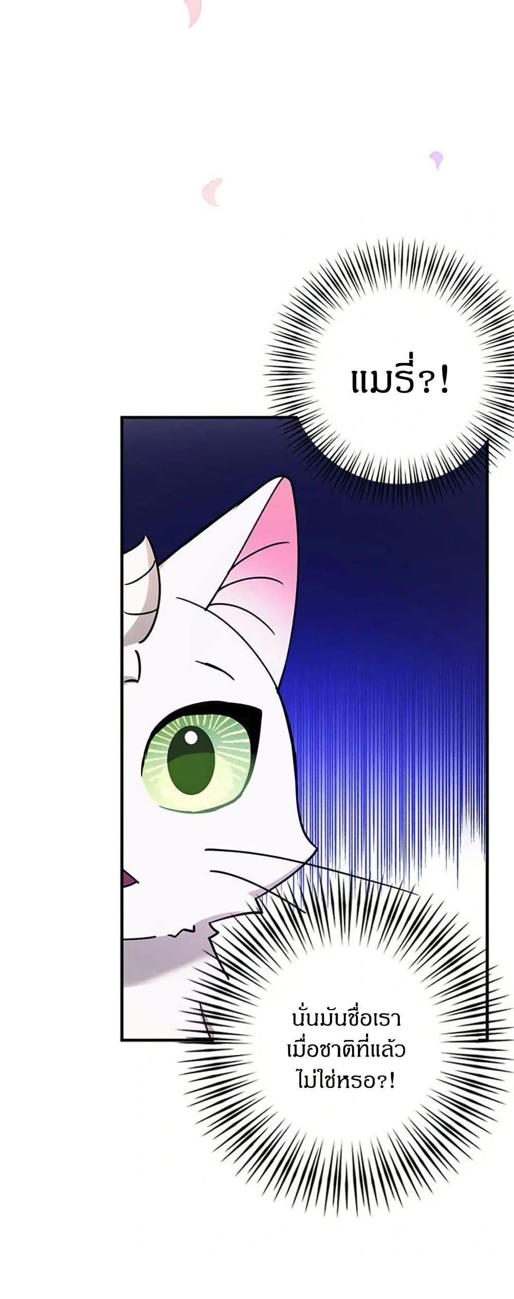 Manga-lc-com อ่านมังงะ อ่านการ์ตูน ออนไลน์ ฟรี I Became the Emperor’s Cat ตอนที่ 1 2 3 4 5 6 7 8 9 10 11 12 13 14 ฟรี ไม่มีโฆษณา Manga-lc - อ่าน มังงะ อ่าน การ์ตูน ออนไลน์ อ่านมังงะ ฟรี