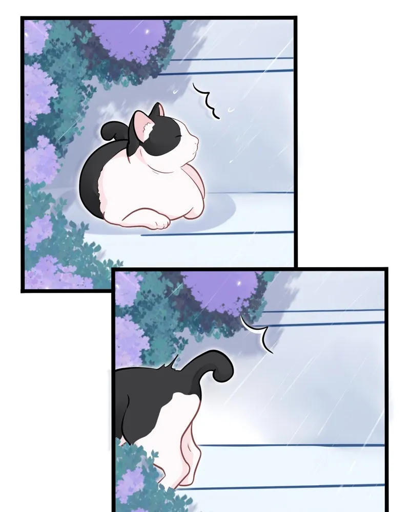 ฤดูฝนของฉันกับนาย ตอนที่ 5  วันเกิด รูปที่ 49