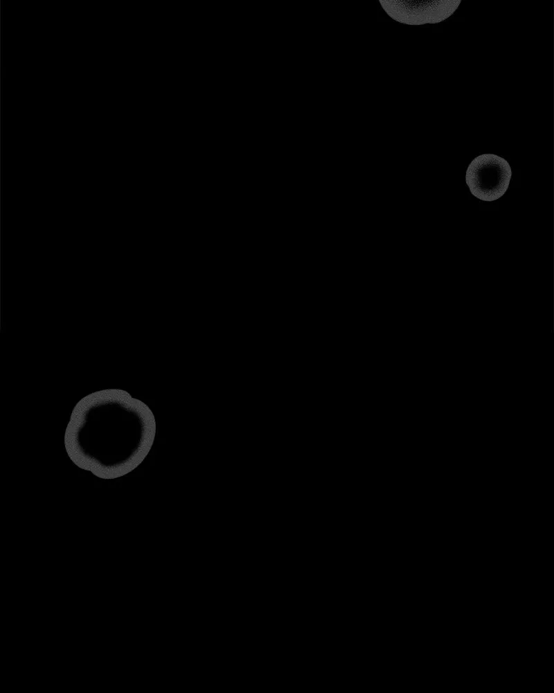 บุปผารุ่มราคะ ตอนที่ 68 รูปที่ 44