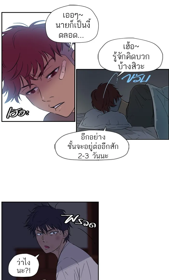 ปั่นสู้ฝันbrWind Breaker ตอนที่ 19 รูปที่ 25