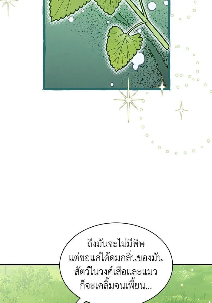 แมวน้อยในรังหมาป่า ตอนที่ 24 รูปที่ 41