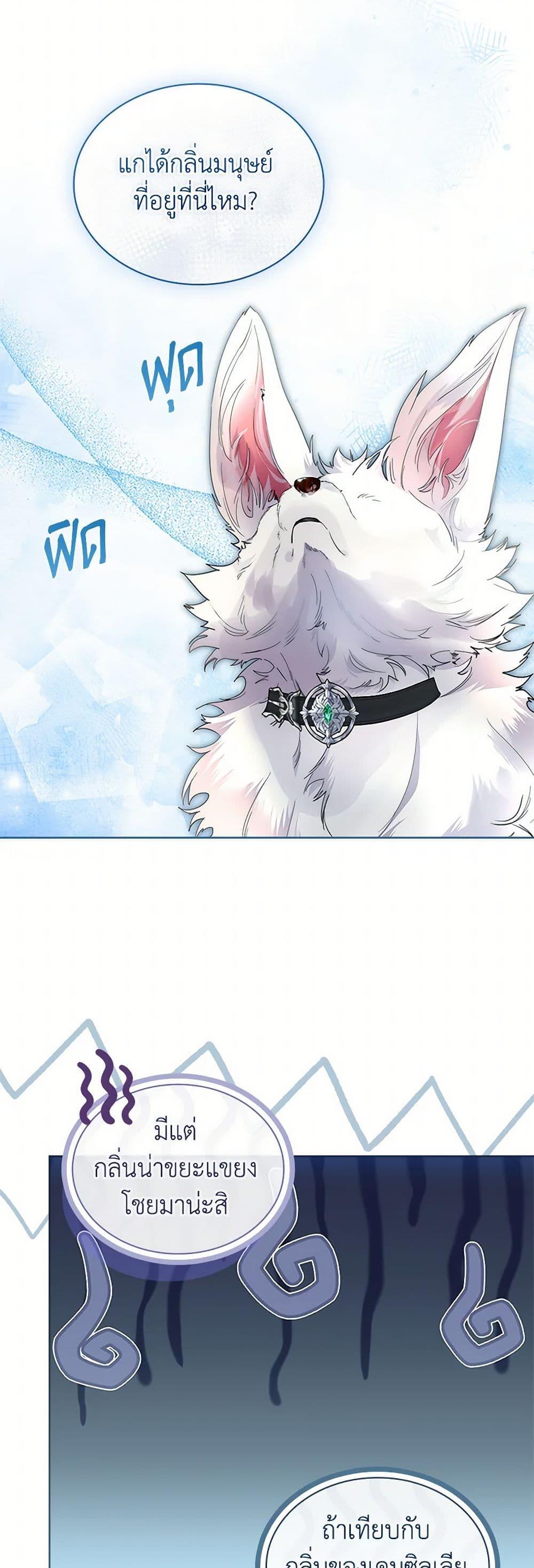 Manga-lc-com อ่านมังงะ อ่านการ์ตูน ออนไลน์ ฟรี I Raised the Nine-Tailed Fox Wrongly ตอนที่ 1 2 3 4 5 6 7 8 9 10 11 12 13 14 ฟรี ไม่มีโฆษณา Manga-lc - อ่าน มังงะ อ่าน การ์ตูน ออนไลน์ อ่านมังงะ ฟรี