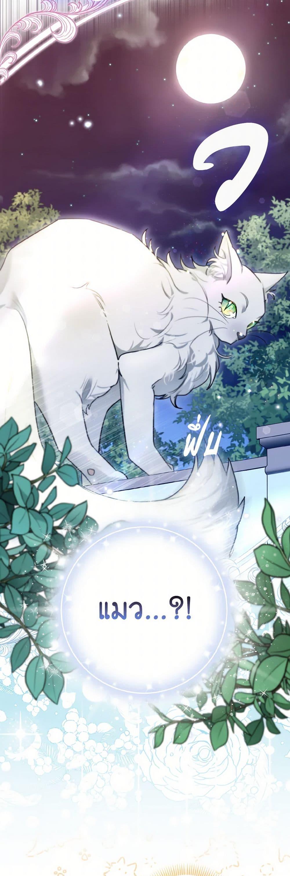 Manga-lc-com อ่านมังงะ อ่านการ์ตูน ออนไลน์ ฟรี I Possessed a Villainess, but I Wanna Raise Cats! ตอนที่ 1 2 3 4 5 6 7 8 9 10 11 12 13 14 ฟรี ไม่มีโฆษณา Manga-lc - อ่าน มังงะ อ่าน การ์ตูน ออนไลน์ อ่านมังงะ ฟรี