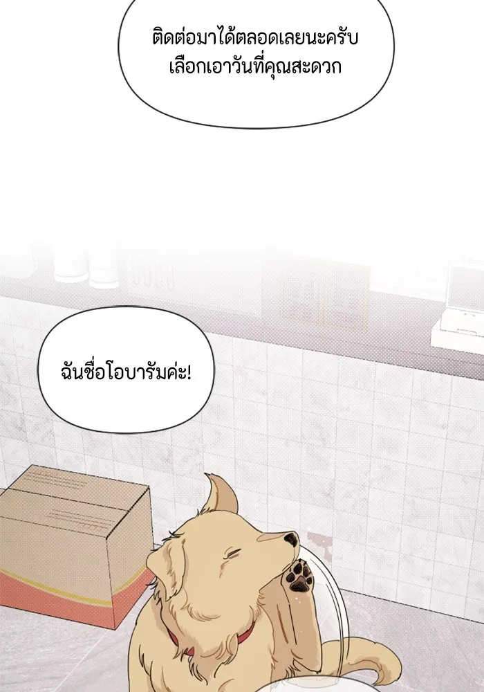 จริง ๆ แล้ว โอบารัมน่ะ… ตอนที่ 15 รูปที่ 14