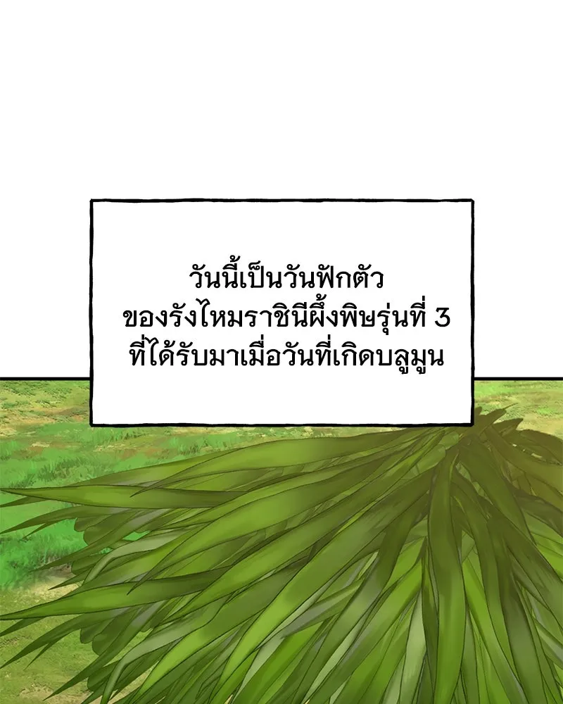 ปลูกผักพิชิตหอคอย ตอนที่ 63 รูปที่ 172