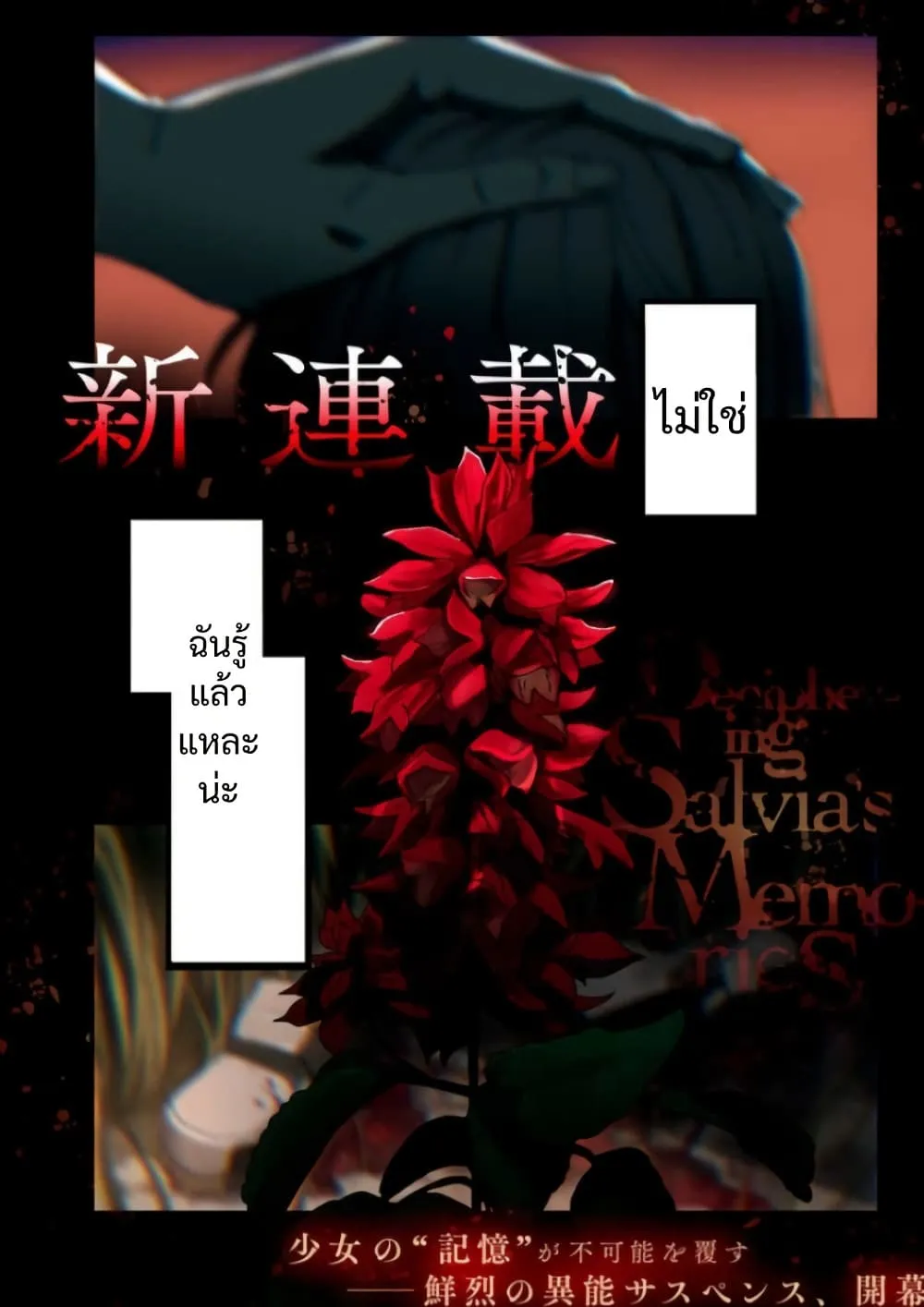 Manga-lc-com อ่านมังงะ อ่านการ์ตูน ออนไลน์ ฟรี Salvia no Kaioku ตอนที่ 1 2 3 4 5 6 7 8 9 10 11 12 13 14 ฟรี ไม่มีโฆษณา Manga-lc - อ่าน มังงะ อ่าน การ์ตูน ออนไลน์ อ่านมังงะ ฟรี