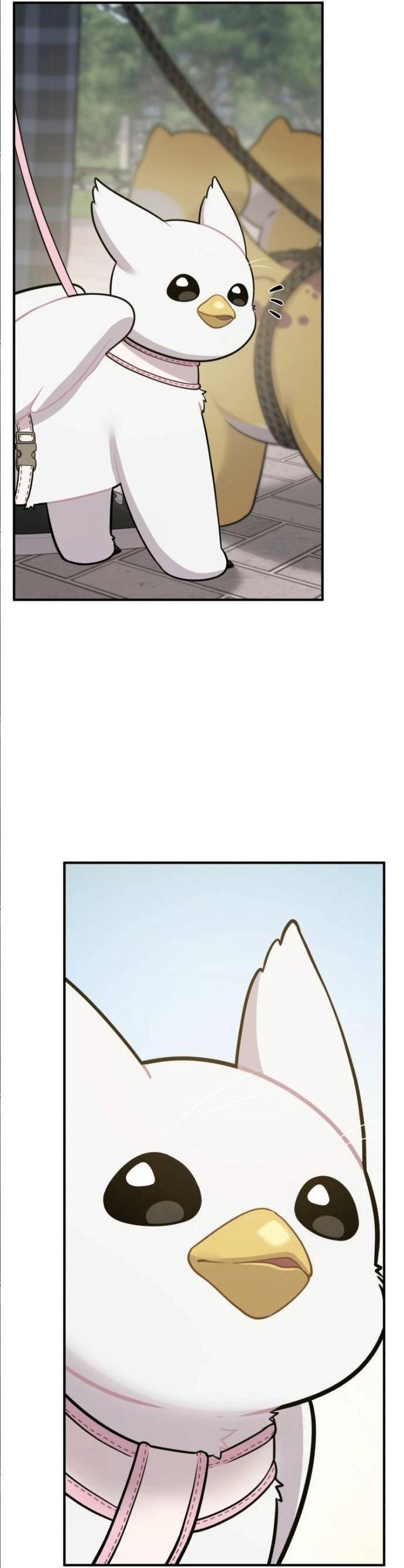 Manga-lc-com อ่านมังงะ อ่านการ์ตูน ออนไลน์ ฟรี Hello, Griffin the Fluffy Tit! ตอนที่ 1 2 3 4 5 6 7 8 9 10 11 12 13 14 ฟรี ไม่มีโฆษณา Manga-lc - อ่าน มังงะ อ่าน การ์ตูน ออนไลน์ อ่านมังงะ ฟรี