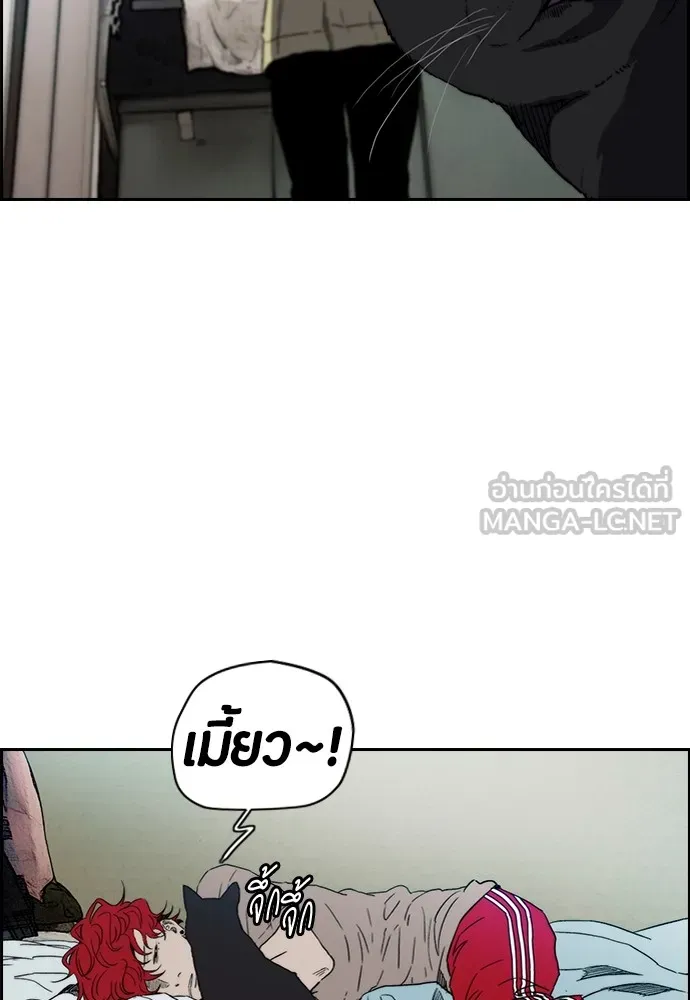 ปั่นสู้ฝันbrWind Breaker ตอนที่ 86 รูปที่ 33