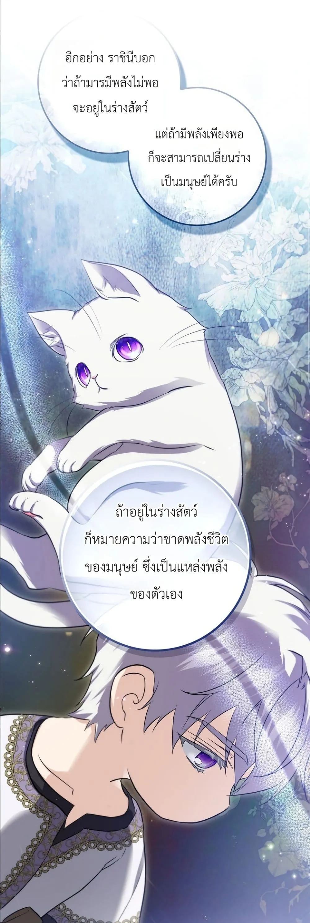 Manga-lc-com อ่านมังงะ อ่านการ์ตูน ออนไลน์ ฟรี I Am the 5-Year-Old Spy Who Kidnapped the Villain ตอนที่ 1 2 3 4 5 6 7 8 9 10 11 12 13 14 ฟรี ไม่มีโฆษณา Manga-lc - อ่าน มังงะ อ่าน การ์ตูน ออนไลน์ อ่านมังงะ ฟรี