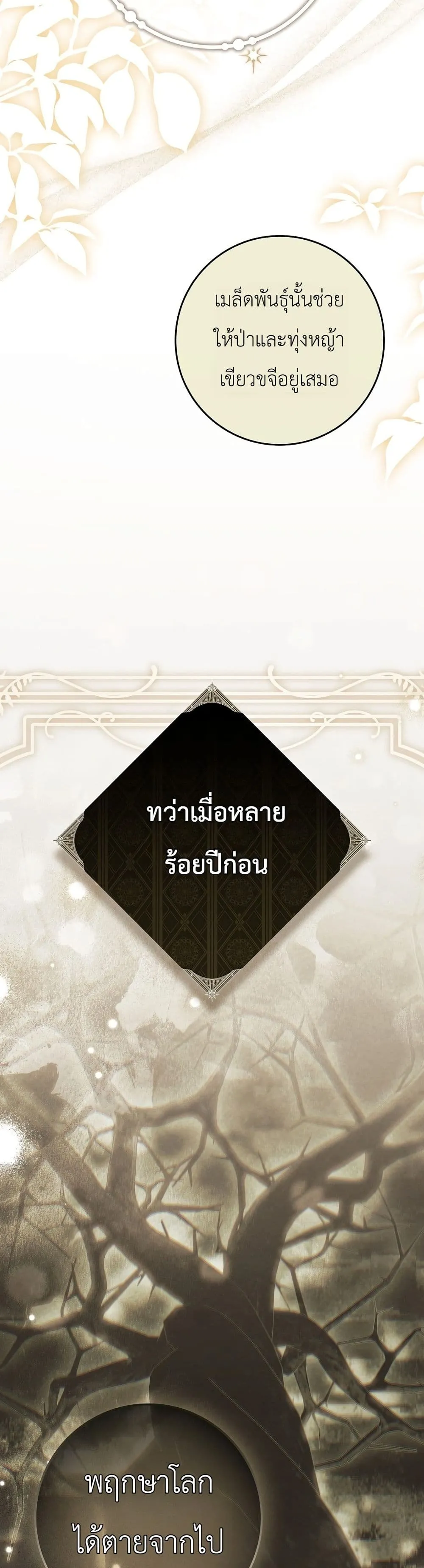 Manga-lc-com อ่านมังงะ อ่านการ์ตูน ออนไลน์ ฟรี The Baby Sprout Blooming in the Villainous Duke’s Family ตอนที่ 1 2 3 4 5 6 7 8 9 10 11 12 13 14 ฟรี ไม่มีโฆษณา Manga-lc - อ่าน มังงะ อ่าน การ์ตูน ออนไลน์ อ่านมังงะ ฟรี
