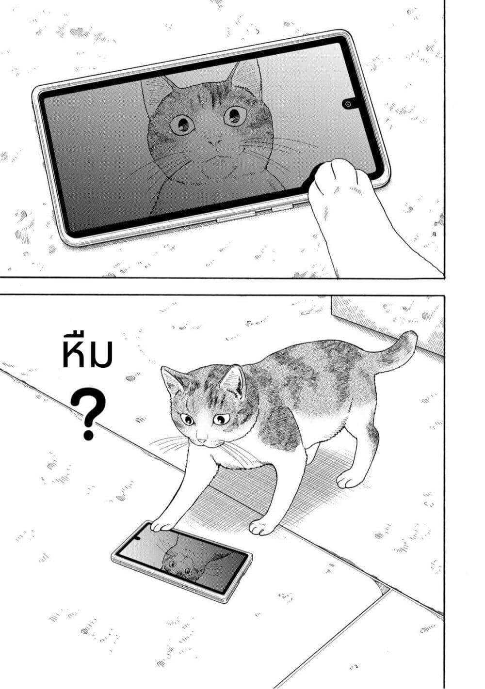 Manga-lc-com อ่านมังงะ อ่านการ์ตูน ออนไลน์ ฟรี Yuzuki Becomes A Cat ตอนที่ 1 2 3 4 5 6 7 8 9 10 11 12 13 14 ฟรี ไม่มีโฆษณา Manga-lc - อ่าน มังงะ อ่าน การ์ตูน ออนไลน์ อ่านมังงะ ฟรี