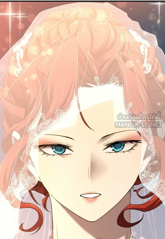 ยอดสถาปนิกผู้พิทักษ์อาณาจักร ตอนที่ 210 (ตอนจบ) รูปที่ 96