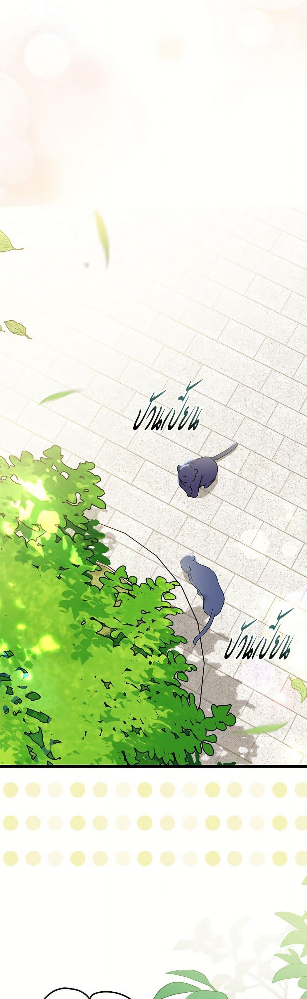 Manga-lc-com อ่านมังงะ อ่านการ์ตูน ออนไลน์ ฟรี The Symbiotic Relationship Between a Panther and a Rabbit ตอนที่ 1 2 3 4 5 6 7 8 9 10 11 12 13 14 ฟรี ไม่มีโฆษณา Manga-lc - อ่าน มังงะ อ่าน การ์ตูน ออนไลน์ อ่านมังงะ ฟรี