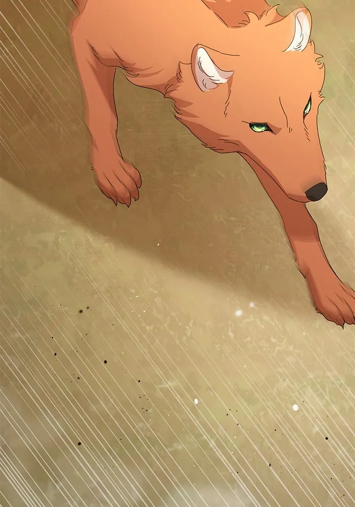 ชีวิตใหม่ในตระกูลมือสังหาร ตอนที่ 61 รูปที่ 71