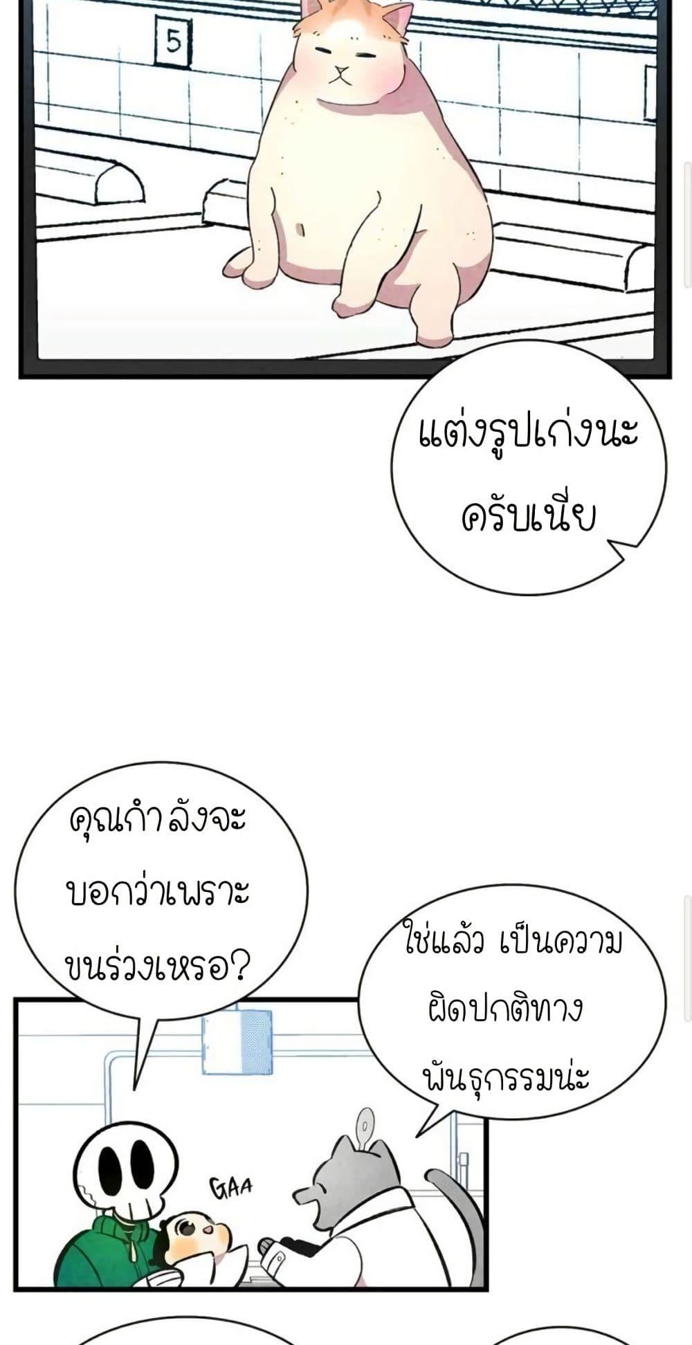 Manga-lc-com อ่านมังงะ อ่านการ์ตูน ออนไลน์ ฟรี The Skeleton Becomes a Cat Dad ตอนที่ 1 2 3 4 5 6 7 8 9 10 11 12 13 14 ฟรี ไม่มีโฆษณา Manga-lc - อ่าน มังงะ อ่าน การ์ตูน ออนไลน์ อ่านมังงะ ฟรี