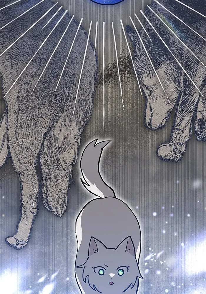 แมวน้อยในรังหมาป่า ตอนที่ 53 รูปที่ 23