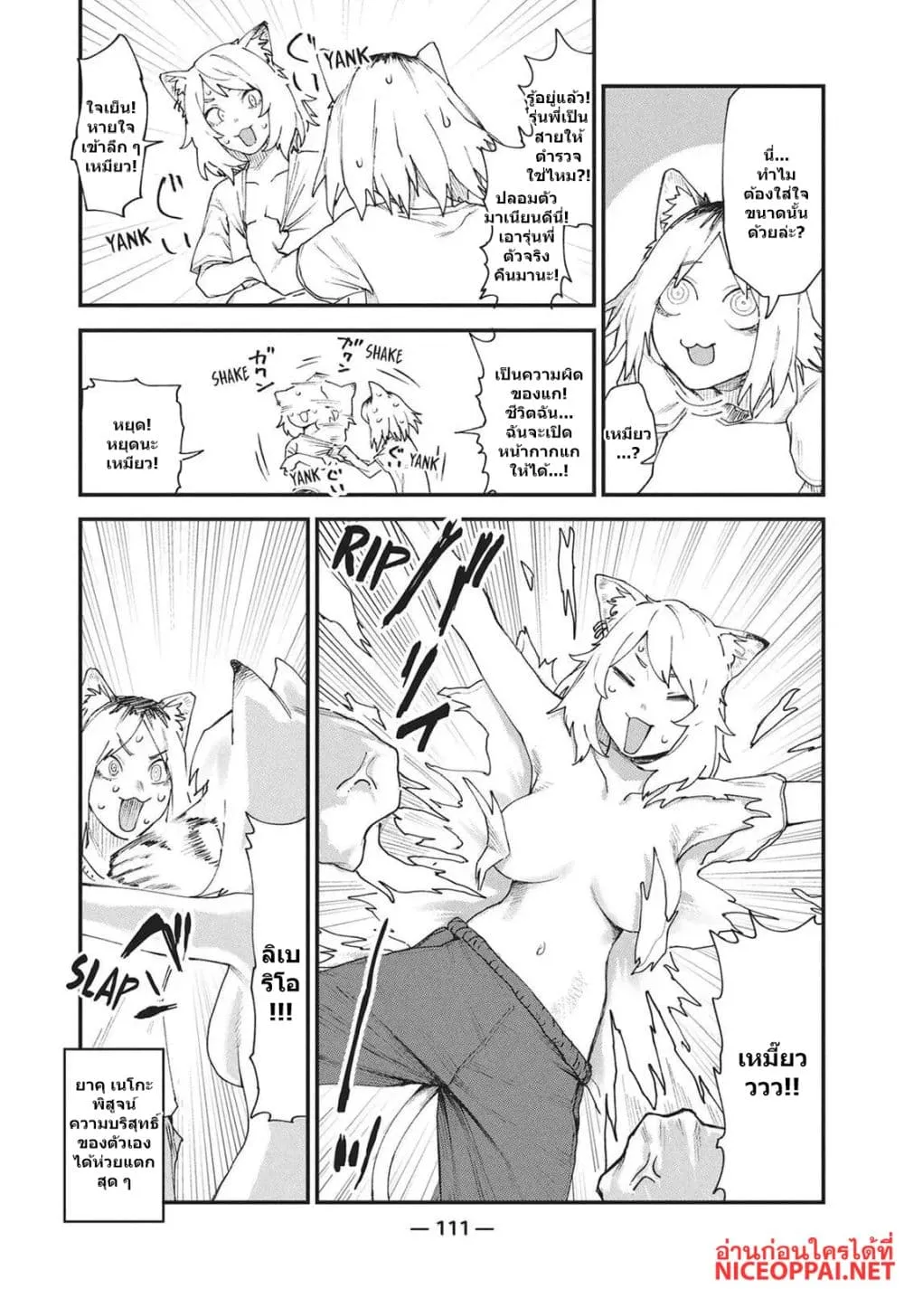Manga-lc-com อ่านมังงะ อ่านการ์ตูน ออนไลน์ ฟรี Yani Neko ตอนที่ 1 2 3 4 5 6 7 8 9 10 11 12 13 14 ฟรี ไม่มีโฆษณา Manga-lc - อ่าน มังงะ อ่าน การ์ตูน ออนไลน์ อ่านมังงะ ฟรี