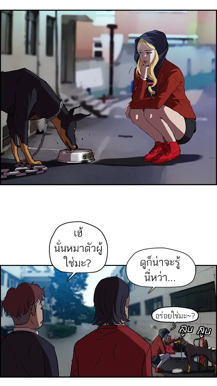 ปั่นสู้ฝันbrWind Breaker ตอนที่ 61 รูปที่ 23