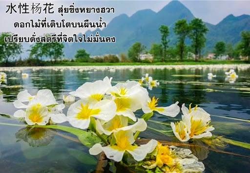 Manga-lc-com อ่านมังงะ อ่านการ์ตูน ออนไลน์ ฟรี Immortal Swordsman in the Reverse World ตอนที่ 1 2 3 4 5 6 7 8 9 10 11 12 13 14 ฟรี ไม่มีโฆษณา Manga-lc - อ่าน มังงะ อ่าน การ์ตูน ออนไลน์ อ่านมังงะ ฟรี