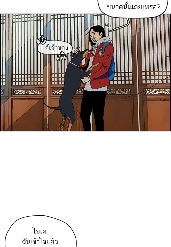 ปั่นสู้ฝันbrWind Breaker ตอนที่ 21 รูปที่ 38