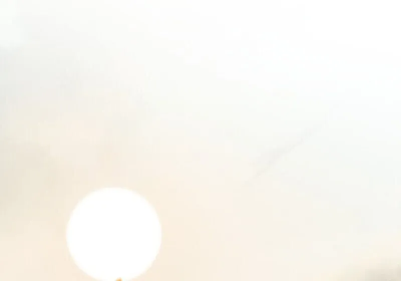 Childhood Friend of the Zenith สหายว_ยเยาว_ของข_าแข_งแกร_งท_ส_ดในใต_หล_า ตอนที่ ตอนที่ 85 รูปที่ 16