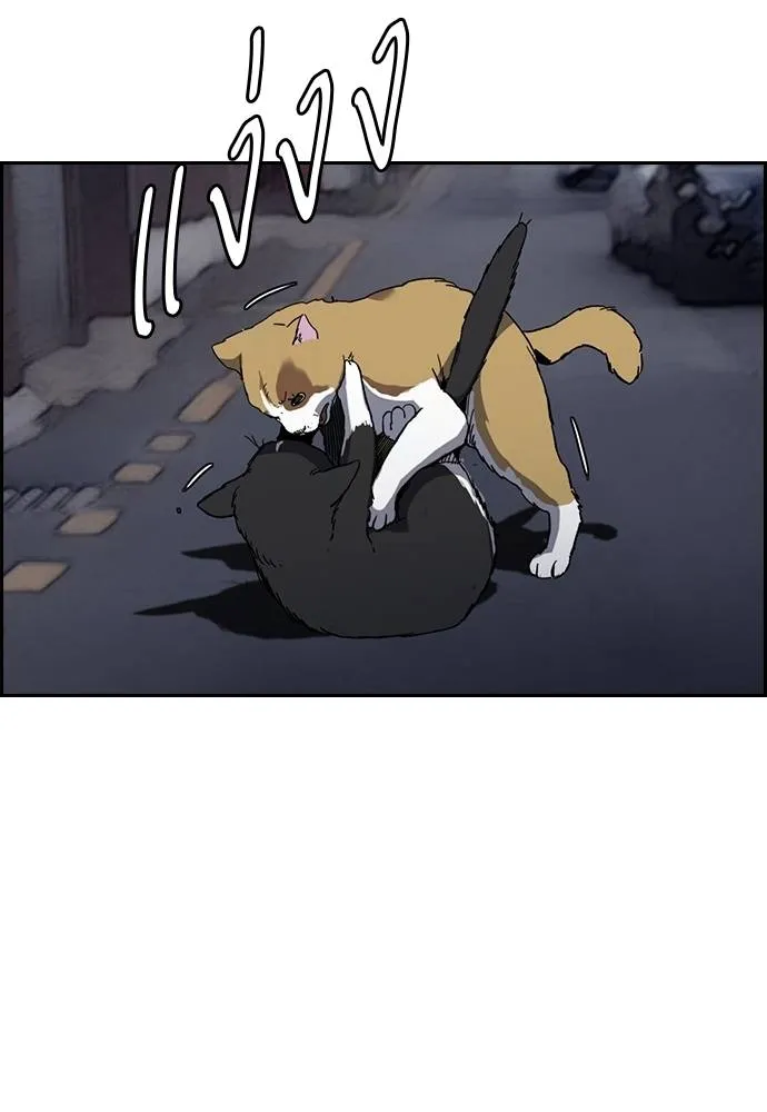 Wind Breaker ตอนที่ 236 รูปที่ 2