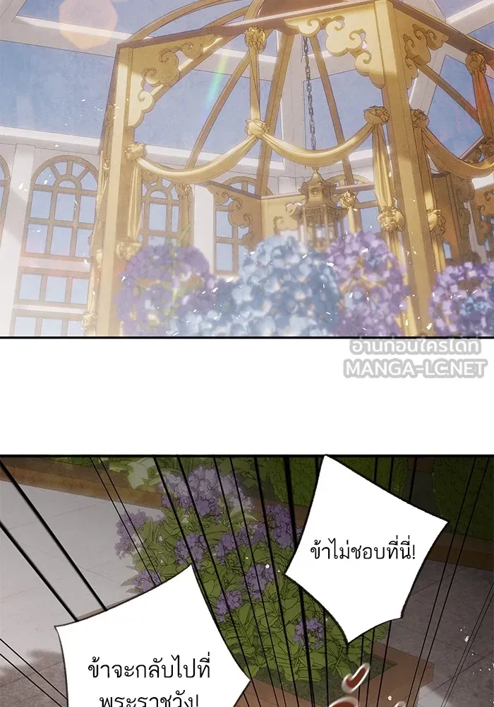 อาซา ตอนที่ 36 ฝ่ายพันธมิตร รูปที่ 42