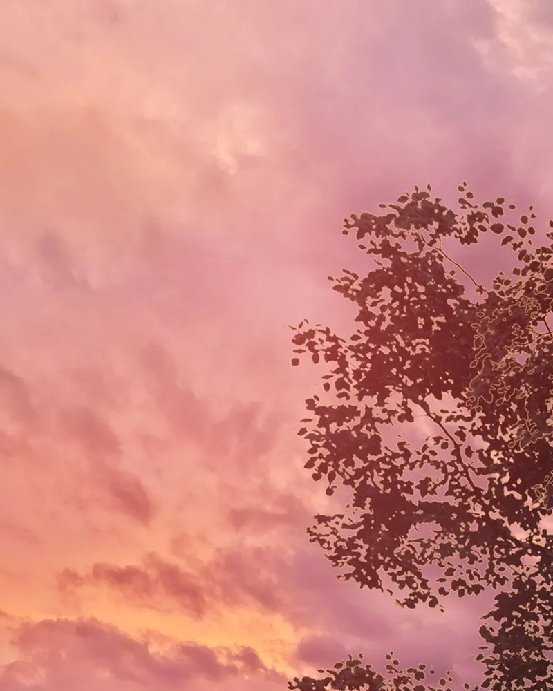 เซเรน่า ตอนที่ 7 รูปที่ 82