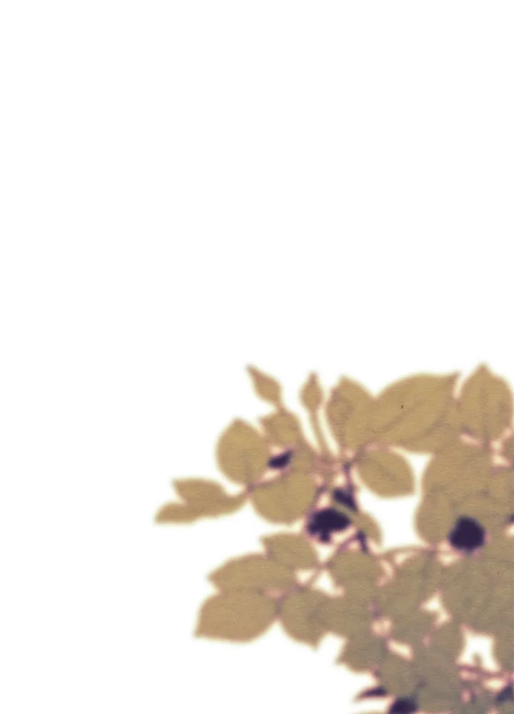 องค์ชายผู้อื้อฉาว ตอนที่ 36 รูปที่ 104