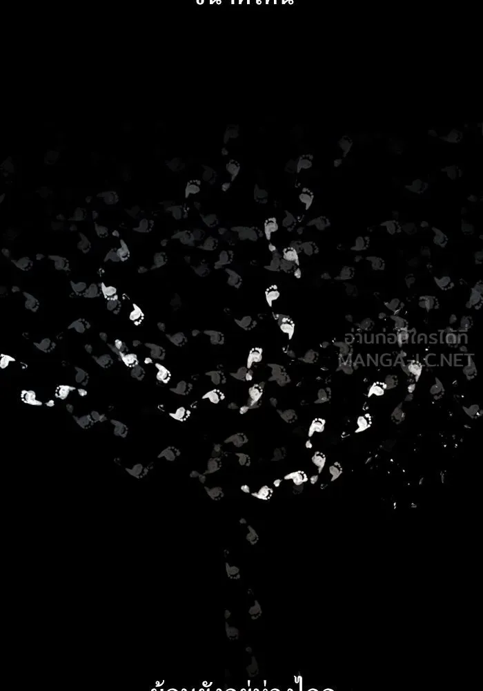 ชิงชีวิตพลิกลิขิตชะตา ตอนที่ 162. ล่าเหยี่ยวสีน้ำเงิน(1) รูปที่ 3