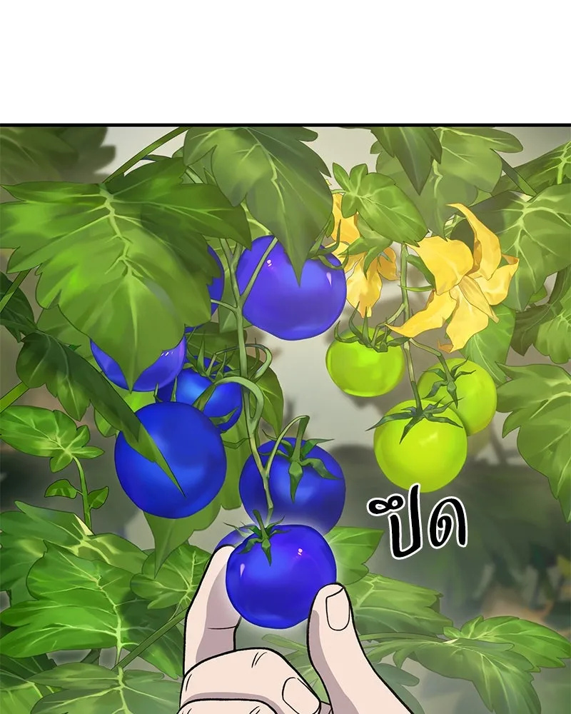ปลูกผักพิชิตหอคอย ตอนที่ 31 รูปที่ 161