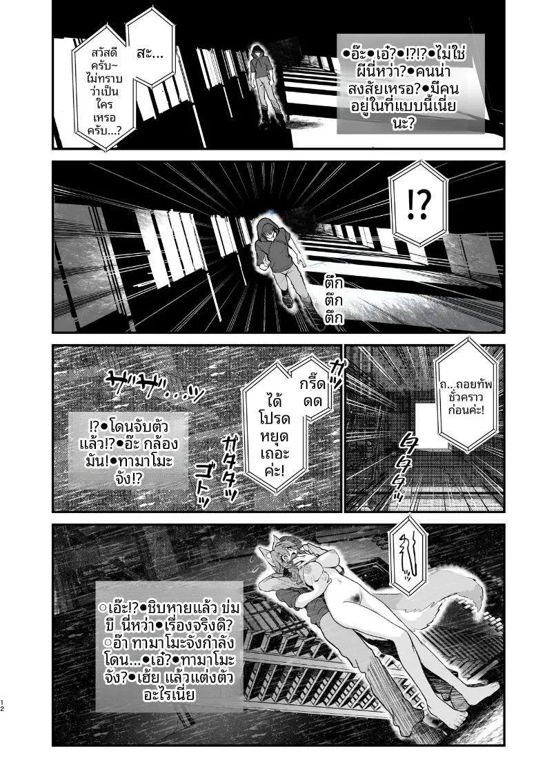 Doujin-Lc- อ่าน โดจิน มังฮวา เกาหลี ญี่ปุ่น จีน แปลไทย ไลฟ์สตรีมเปลื้องผ้า ทามาโมะจัง (Wise Speak) (Fate-EXTRA CCC) ตอนที่ 1 2 3 4 5 6 7 8 9 10 11 12 13 14 ฟรี ไม่มีโฆษณา อ่าน โดจิน Manhwa เกาหลี ญี่ปุ่น จีน เรามีครบ คัดมาให้เน้นๆ โดจิน 18+ รับประกันความฟินโดย  Doujin Lc