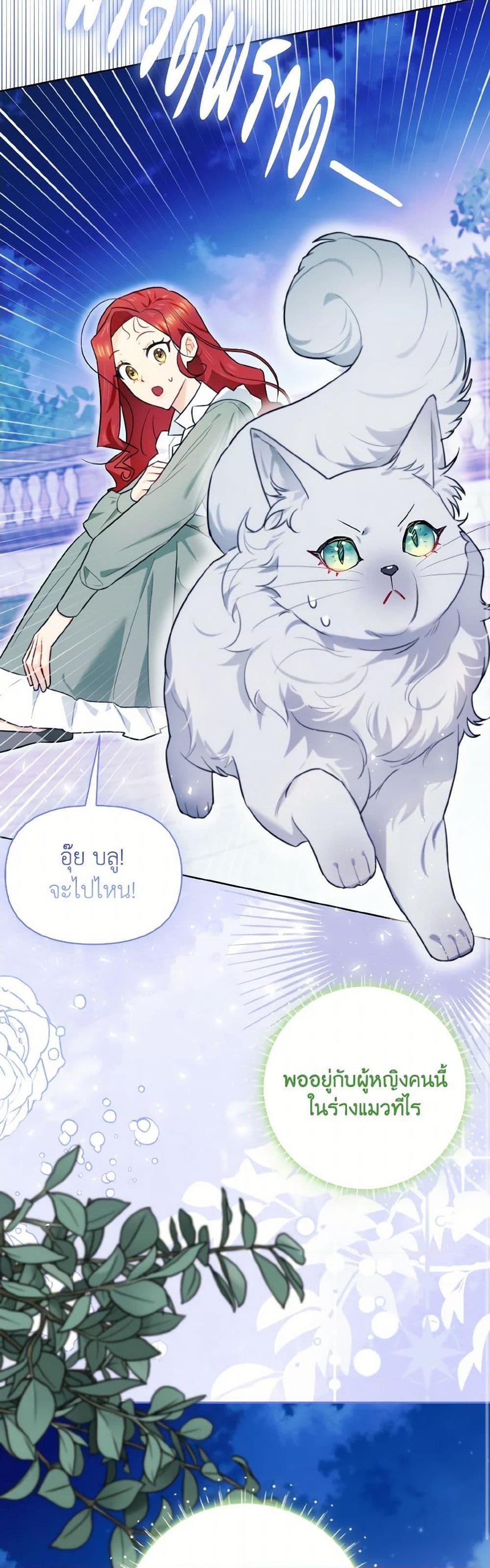 Manga-lc-com อ่านมังงะ อ่านการ์ตูน ออนไลน์ ฟรี I Possessed a Villainess, but I Wanna Raise Cats! ตอนที่ 1 2 3 4 5 6 7 8 9 10 11 12 13 14 ฟรี ไม่มีโฆษณา Manga-lc - อ่าน มังงะ อ่าน การ์ตูน ออนไลน์ อ่านมังงะ ฟรี